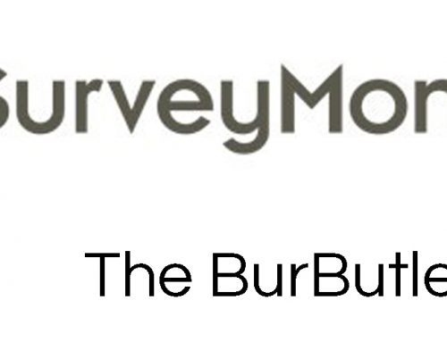 Bur Holder Survey Early Adopters